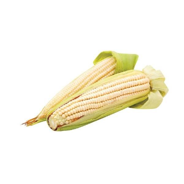 Elote blanco por pieza