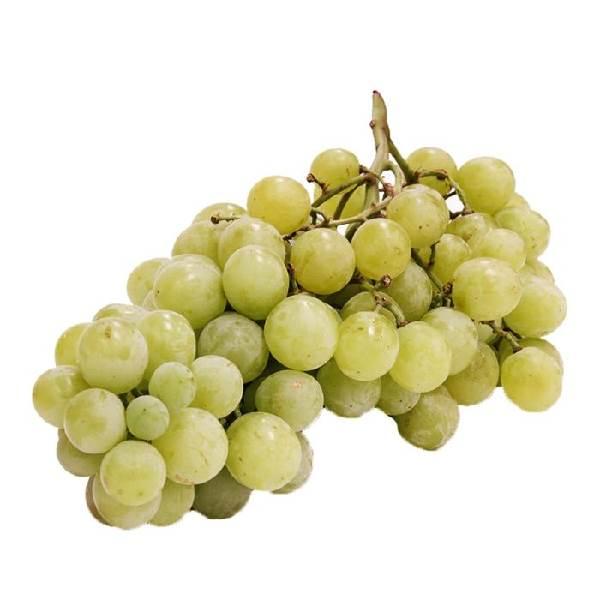 Uva blanca sin semilla por kg