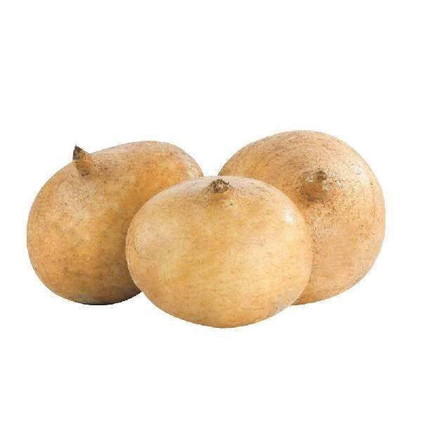 Jícama por pieza 1300 gr aprox