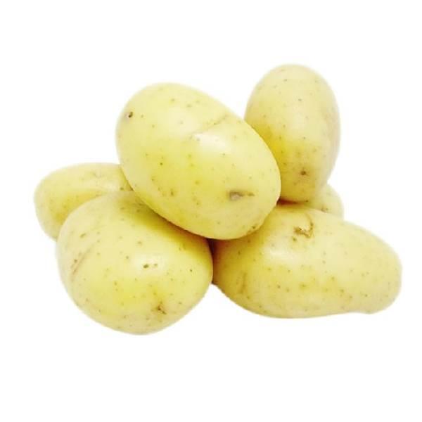 Papa alfa chica peso aprox. 44 grs 1pz       