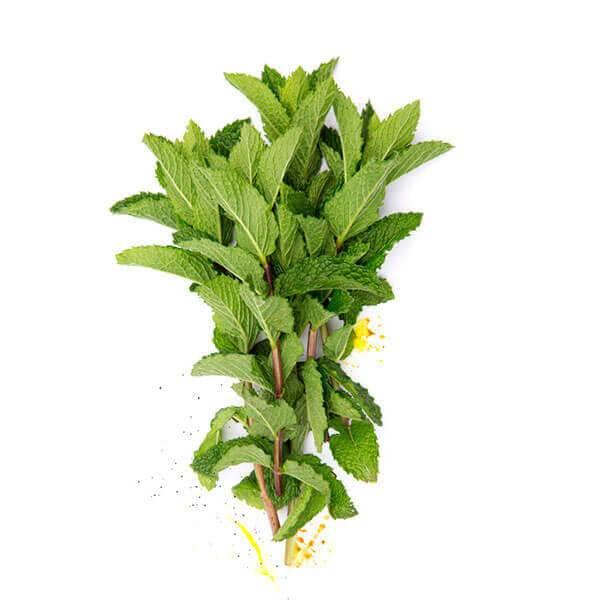 Hierbabuena por pieza