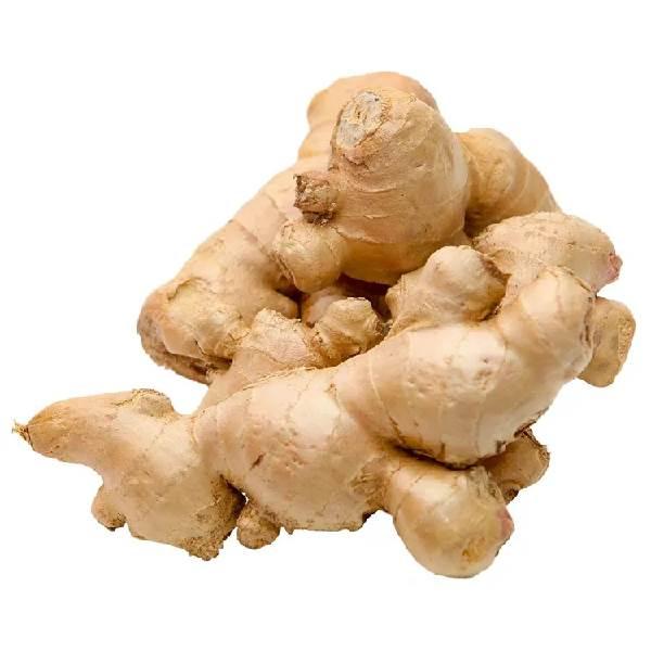 Jengibre por pieza 200 gr aprox
