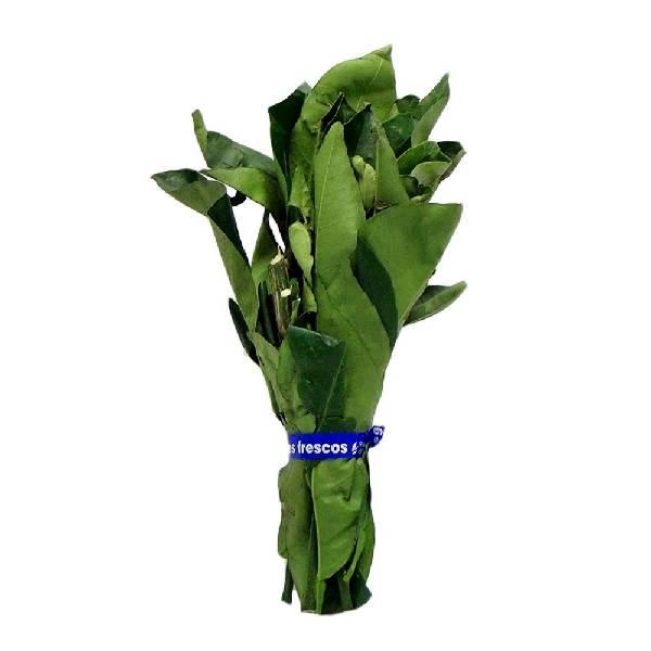 Hoja de naranjo por pieza