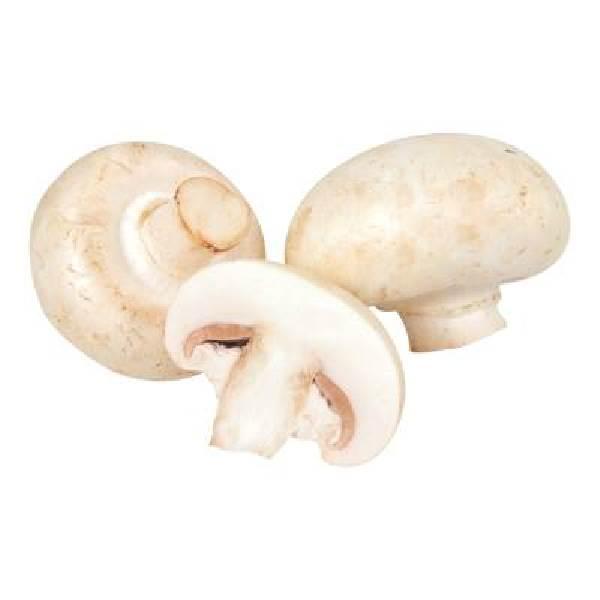 Champiñones por pieza 18 gr aprox
