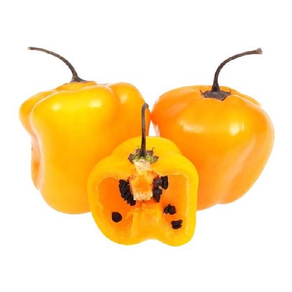 Chile manzano por pieza 40 gr aprox