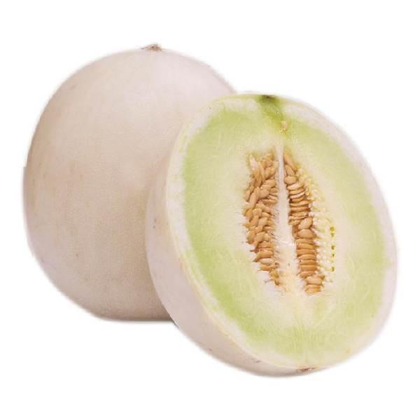 Melón valenciano peso aprox. 1600 grs 1pz
