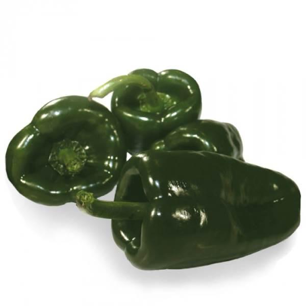 Chile poblano por pieza 130 gr aprox