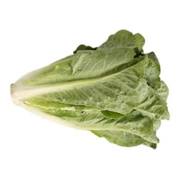Lechuga orejona por pieza